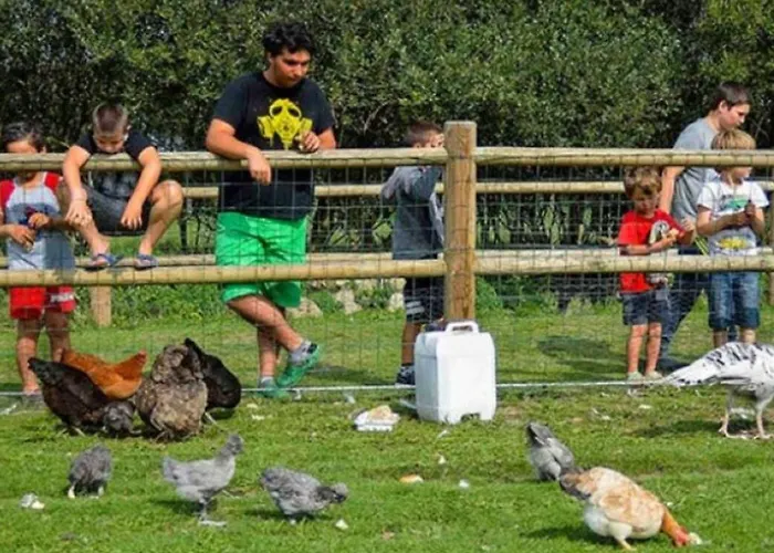 Mobil-home 4 Pers Avec Terrasse A Sainte-marie-du-mont - Api-1-52-1297 营地 *