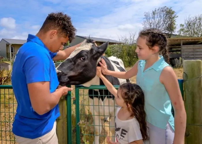 Mobil-home 4 Pers Avec Terrasse A Sainte-marie-du-mont - Api-1-52-1297 * 圣玛丽-迪蒙